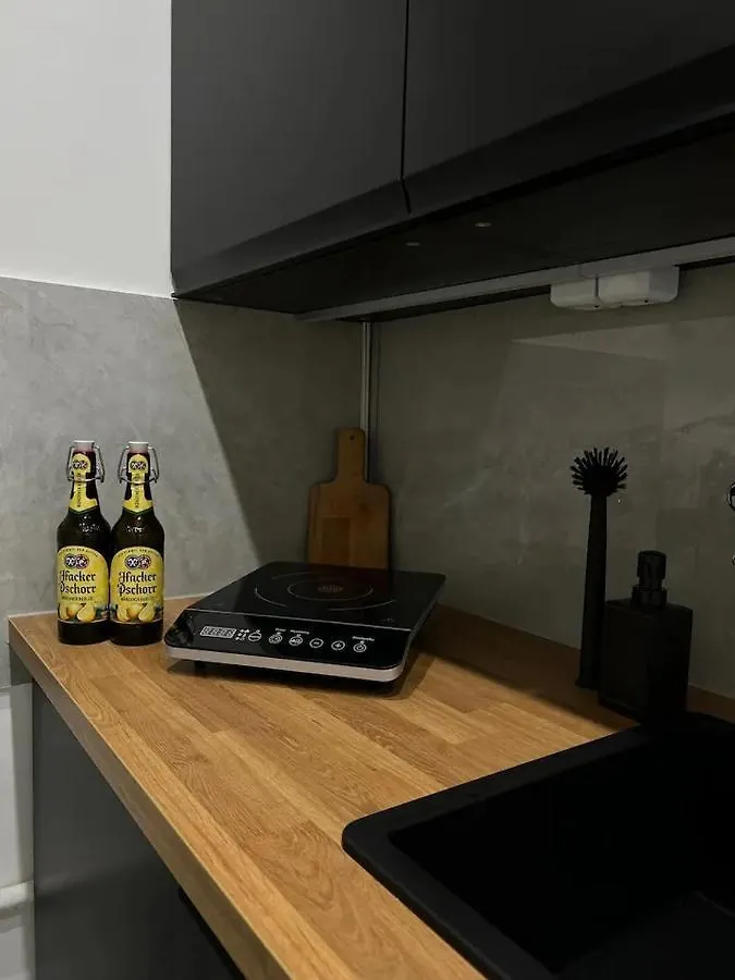 Ickstatt Studio Apartment Munich Germany